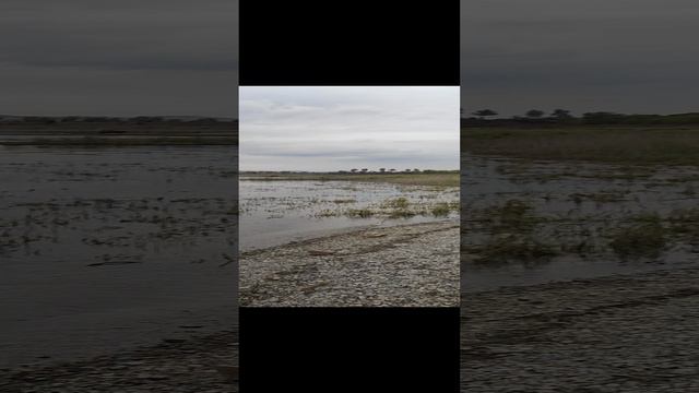 Море красноярское. Водохранилище. Осенью 2024 года. Усть-Абакан. Хакасия. смотреть онлайн