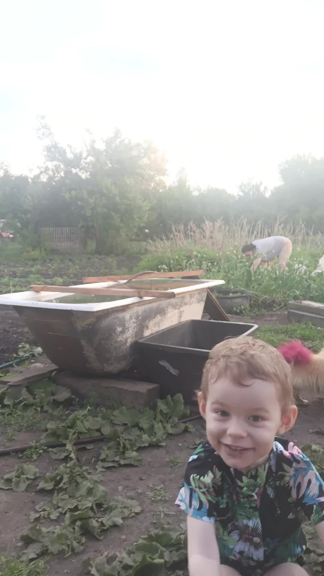 рисунок смотреть онлайн