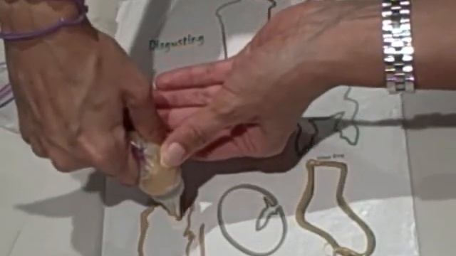 making homemade silly bandz animal rubber bandz bracelets смотреть онлайн