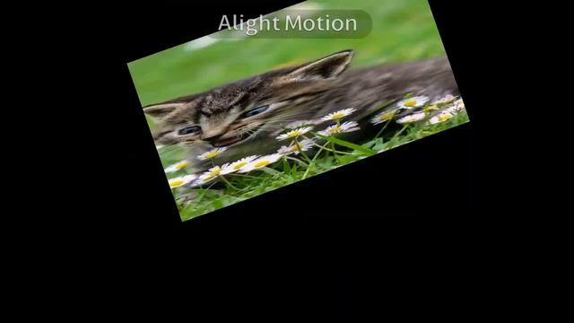 Хлебушек и чай