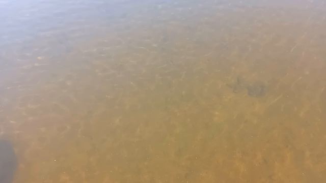 Рыбы нет снимаю окуней)))) смотреть онлайн