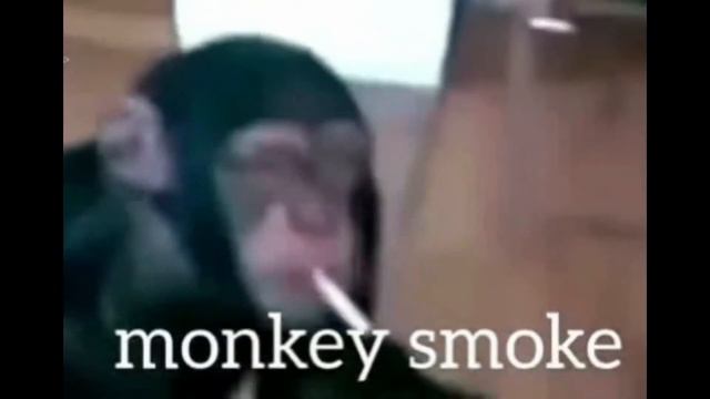 Совсем нестрашные игры | Roblox Horror смотреть онлайн