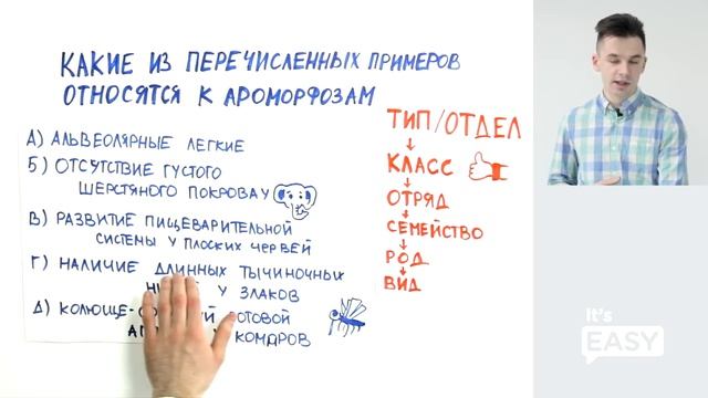 Как отличить ароморфозы и идиоадаптации в заданиях ЕГЭ по биологии? смотреть онлайн