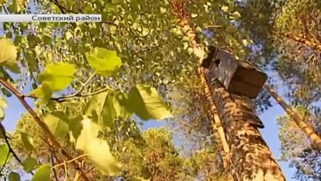 Среда обитания. «Природный парк «Кондинские озера» в Советском районе». смотреть онлайн