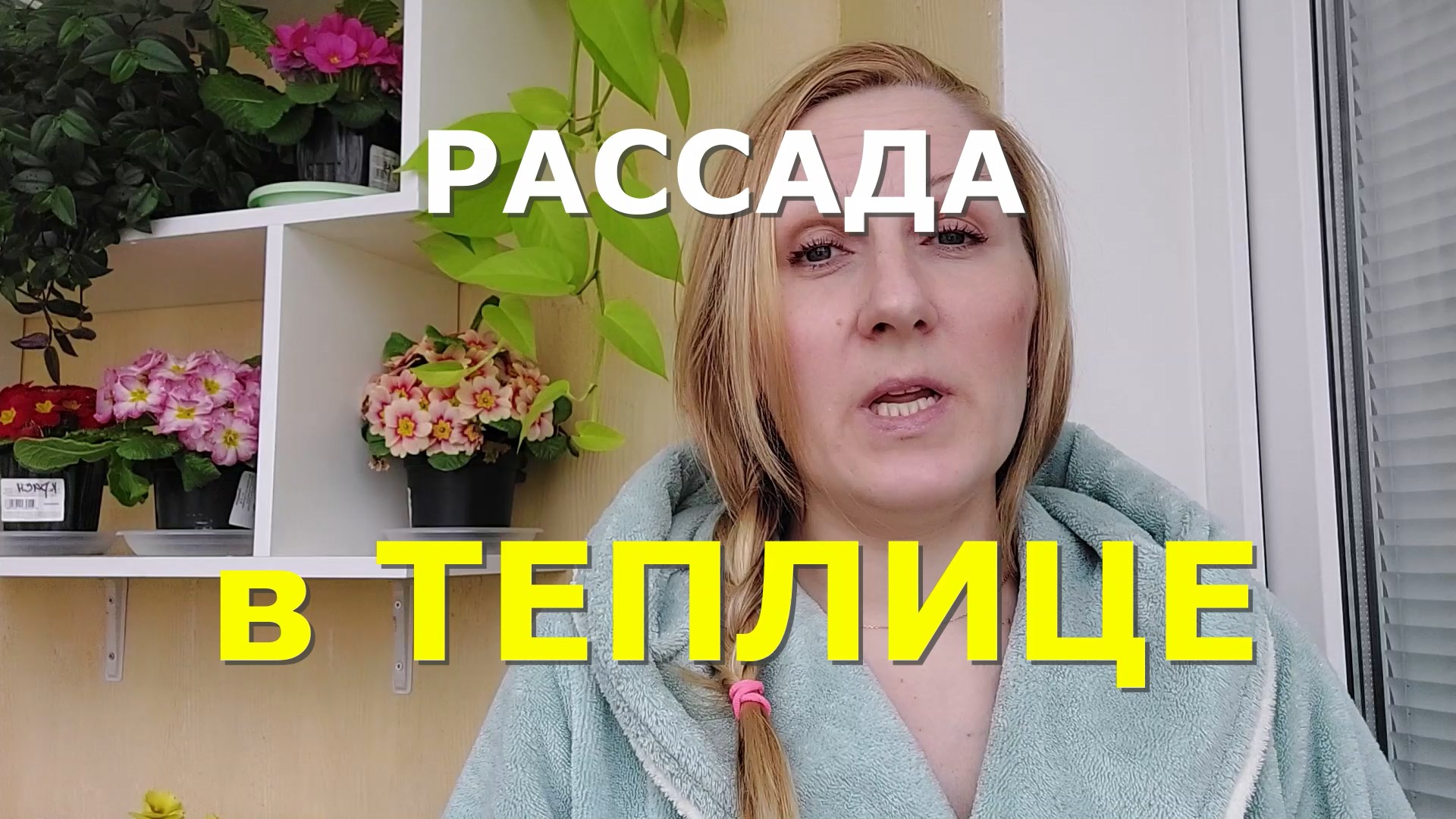 Что посеять в теплицу в апреле смотреть онлайн