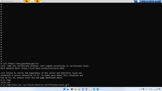 Linux - Добавить сертификат в доверенные смотреть онлайн
