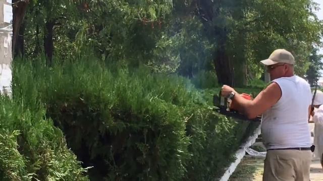Благоустройство улицы прилегающей к гор. пляжу в Евпатории Декоративная стрижка Крым 2016 Евпатория смотреть онлайн