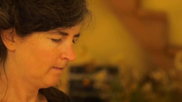 Plant Magic – Eco-Printing with Jennifer Johnson [Artist Portrait] смотреть онлайн
