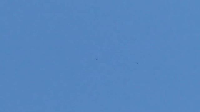 Мои николаевские голуби 🕊 смотреть онлайн