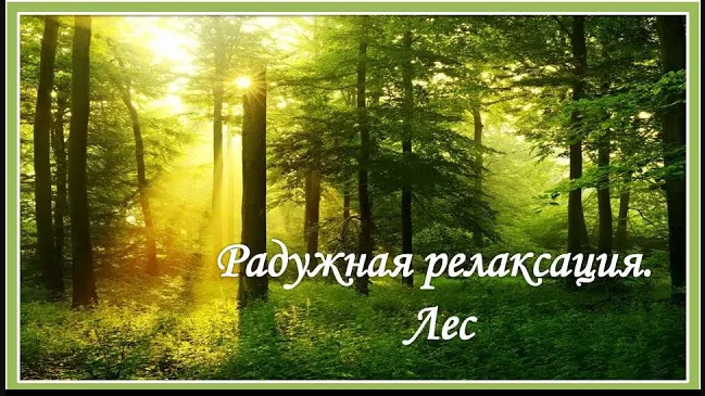 Радужная релаксация.  Лес