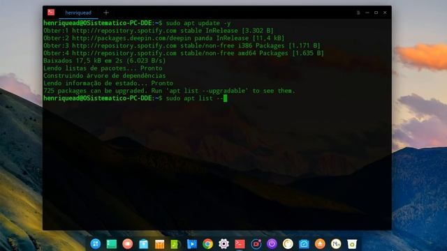 Como Corrigir ERRO de ATUALIZAÇÃO no DEEPIN (que impede atualiza-lo) смотреть онлайн