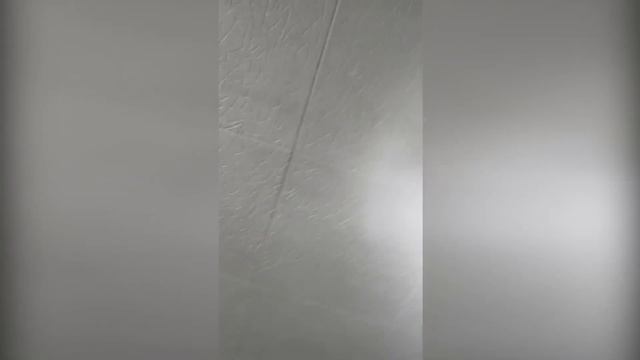 El aterrador caso de Smug Puppy смотреть онлайн