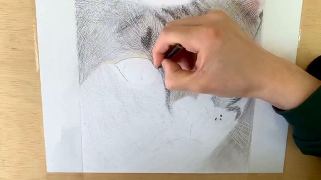Cute CAT paint/ Как нарисовать милого котёнка смотреть онлайн