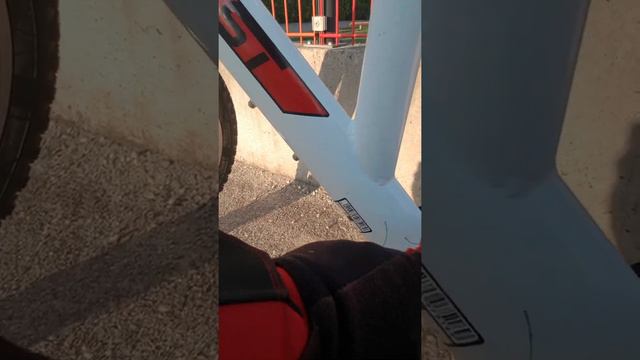 Австрия.Приобрели новенький горный байк за 400 евро.Обкатываем обновку.(На алтайском языке). смотреть онлайн
