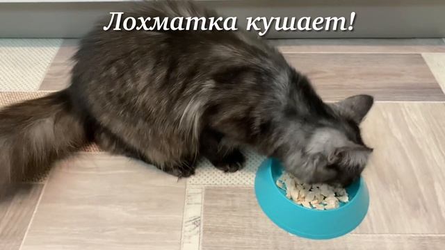 Фотография Портретов