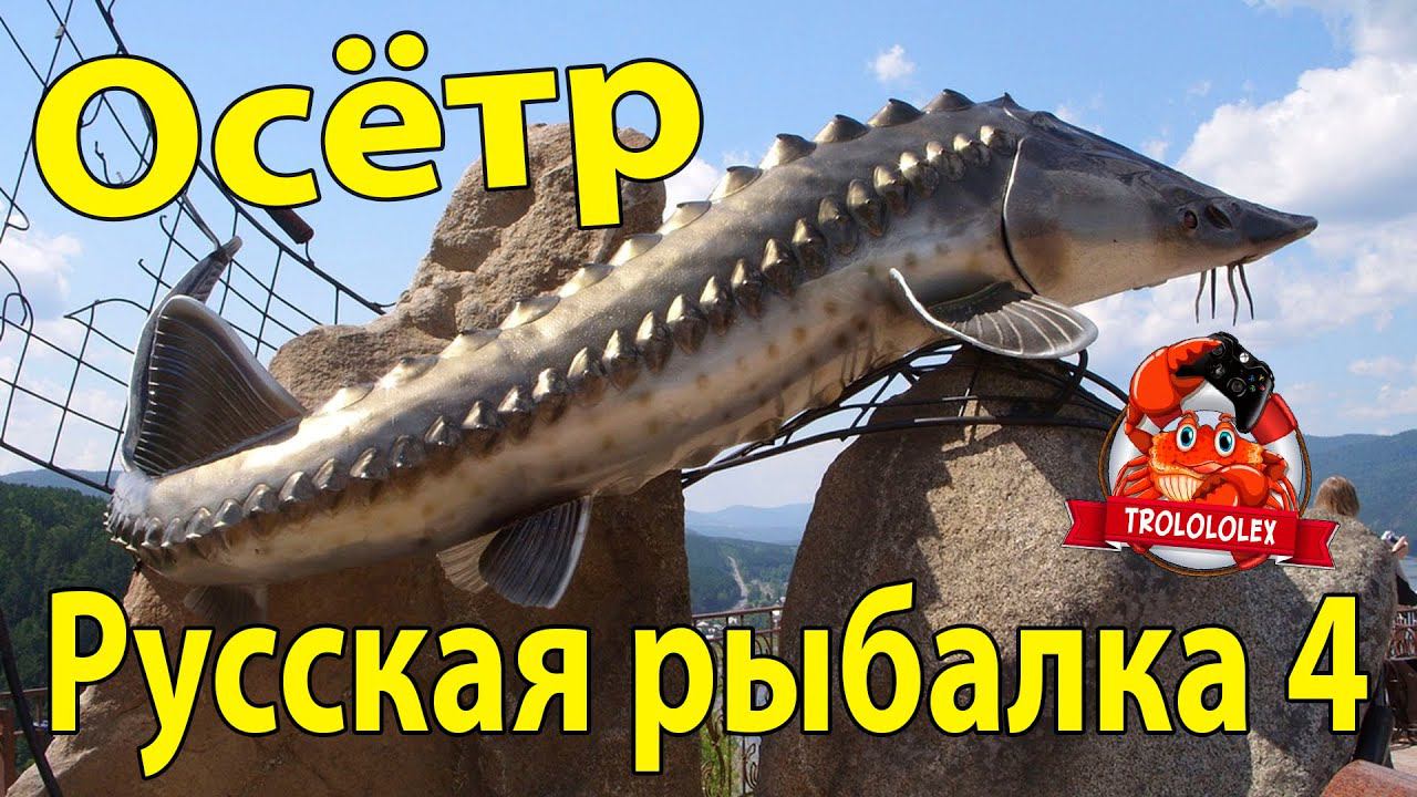 Русская рыбалка 4 Осётр Русский Ахтуба Фарм смотреть онлайн