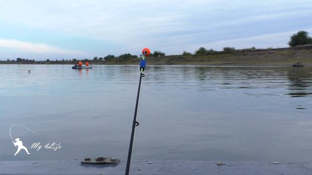 Плохая рыбалка ч5 Ахтуба. РЫБАЛКА на КОЛЬЦО. ЧЕХОНЬ, КАРАСЬ. а ГДЕ ОН? смотреть онлайн