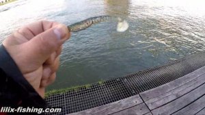 Сплит-шот для начинающих