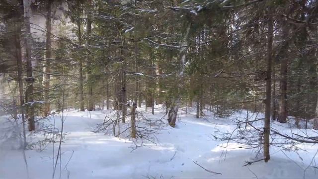 Башкирия. Айгир (Зубы Шурале, гора Черничная, Борисовы печи) смотреть онлайн