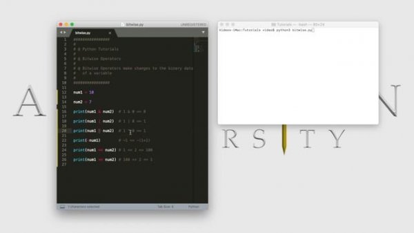 Python - Bitwise Operators