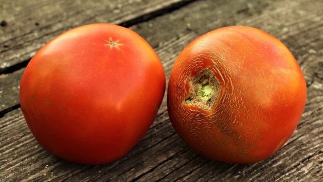 Мистические таланты