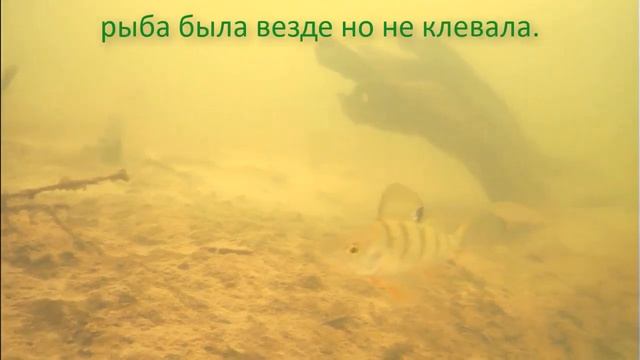 Подводная камера язь 52