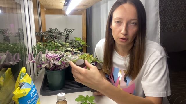 Удобрения, защита, стимуляторы. О чем не забыть в грядущем рассадном сезоне! смотреть онлайн