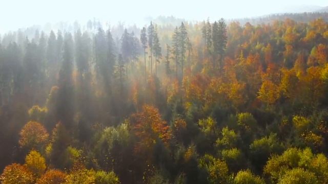 Саша - Загорелось Солнце смотреть онлайн