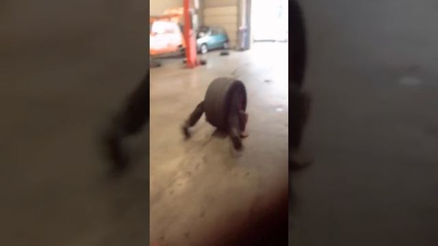 VID_20221107_092153_860.mp4