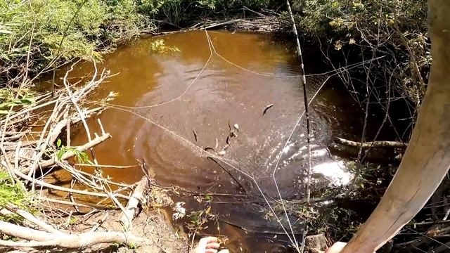 рыбалка в микроречке на паук подъемник смотреть онлайн