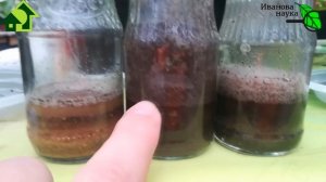 ПРОВЕРЬТЕ ПОЧВУ ДЛЯ РАССАДЫ, В САДУ и ОГОРОДЕ этим простым методом. Биоактивация почвы.