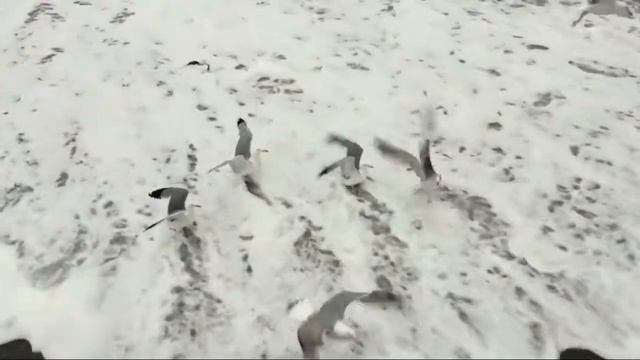 Я стою в унынии пред Тобой ( но Ты помог ) смотреть онлайн