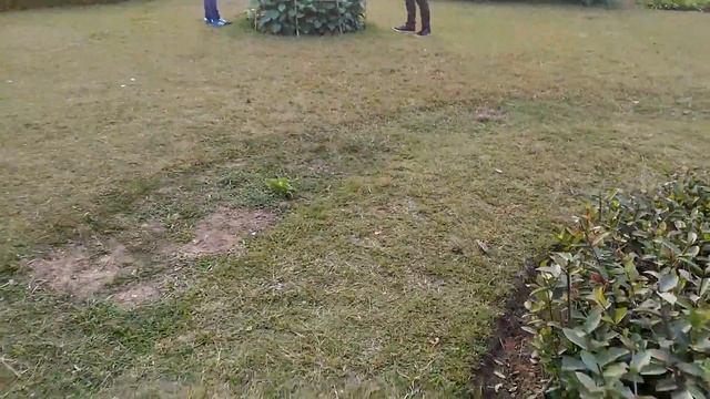 Natural Beauty of Bangladesh | Most Beautiful Place in Bangladesh (Rangpur Museum) - 2017 смотреть онлайн
