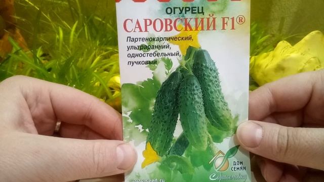 Обзор семян лучших гибридов огурцов! смотреть онлайн