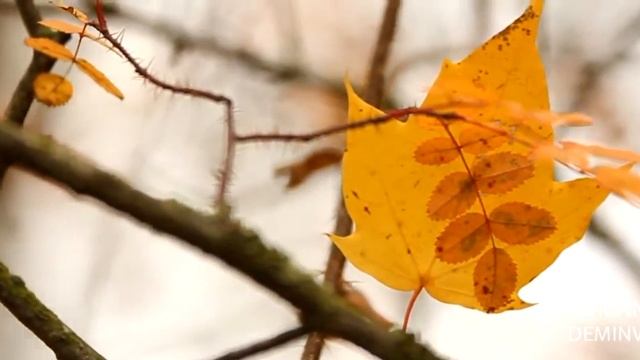 Осенняя сказка смотреть онлайн