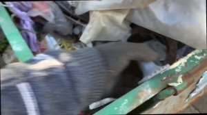 Дачные мусорки или деньги из мусора . Витёк мусорщик Беларусь