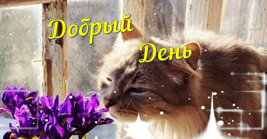 Доброго Вам И Позитивного Дня! Передаю Привет! смотреть онлайн