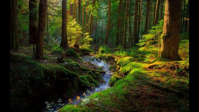 "Жили-были сказки. Румынская сказка "Коза с колокольчиком" смотреть онлайн