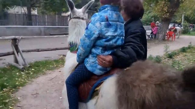 Маша катается на ламе смотреть онлайн