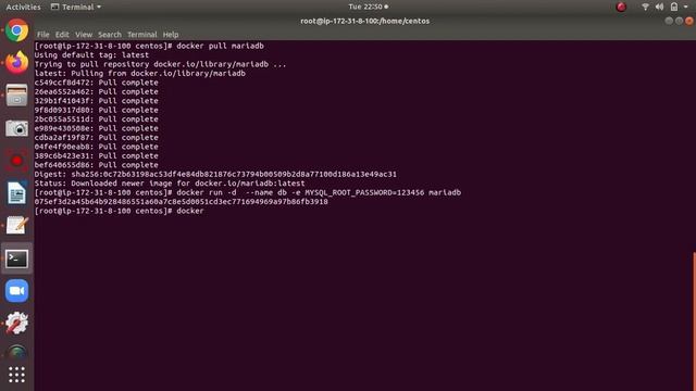 Docker || Dealing with database || Environment variable смотреть онлайн