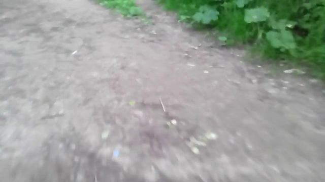 Вызов духов прятки с духами (на улице) смотреть онлайн