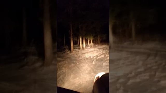BLF Q8 сравнение с галогенными лампами авто смотреть онлайн