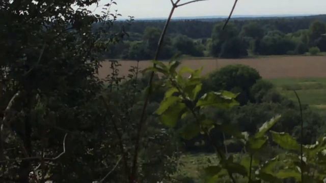 Утренние часы, и притча о баранячем взгляде. смотреть онлайн