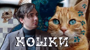 Кошки: История истинных хозяев мира!