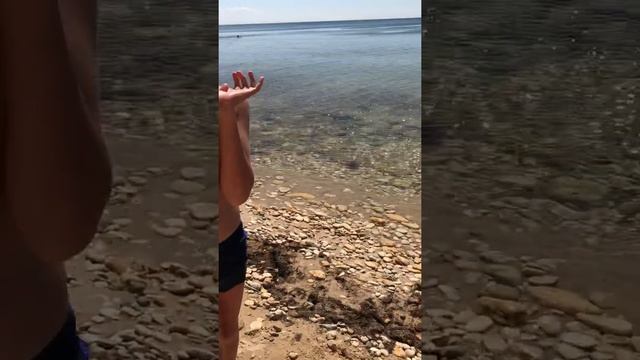 Крым - Окуневка 2019 смотреть онлайн