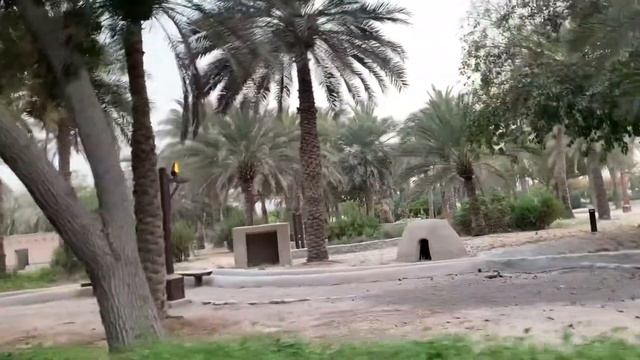 Creek park Dubai | Dubai park | visiting place in Dubai | parks in Dubai |4k смотреть онлайн