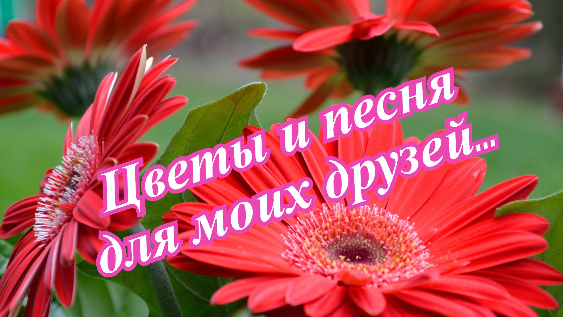 Для друзей.....mp4 смотреть онлайн