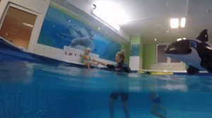 обучение плаванию,малышки 4 месяца
