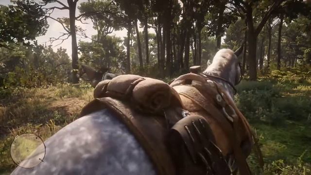 Прохождение RDR 2 на Xbox One S