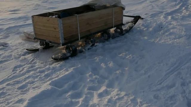 Полынья смотреть онлайн